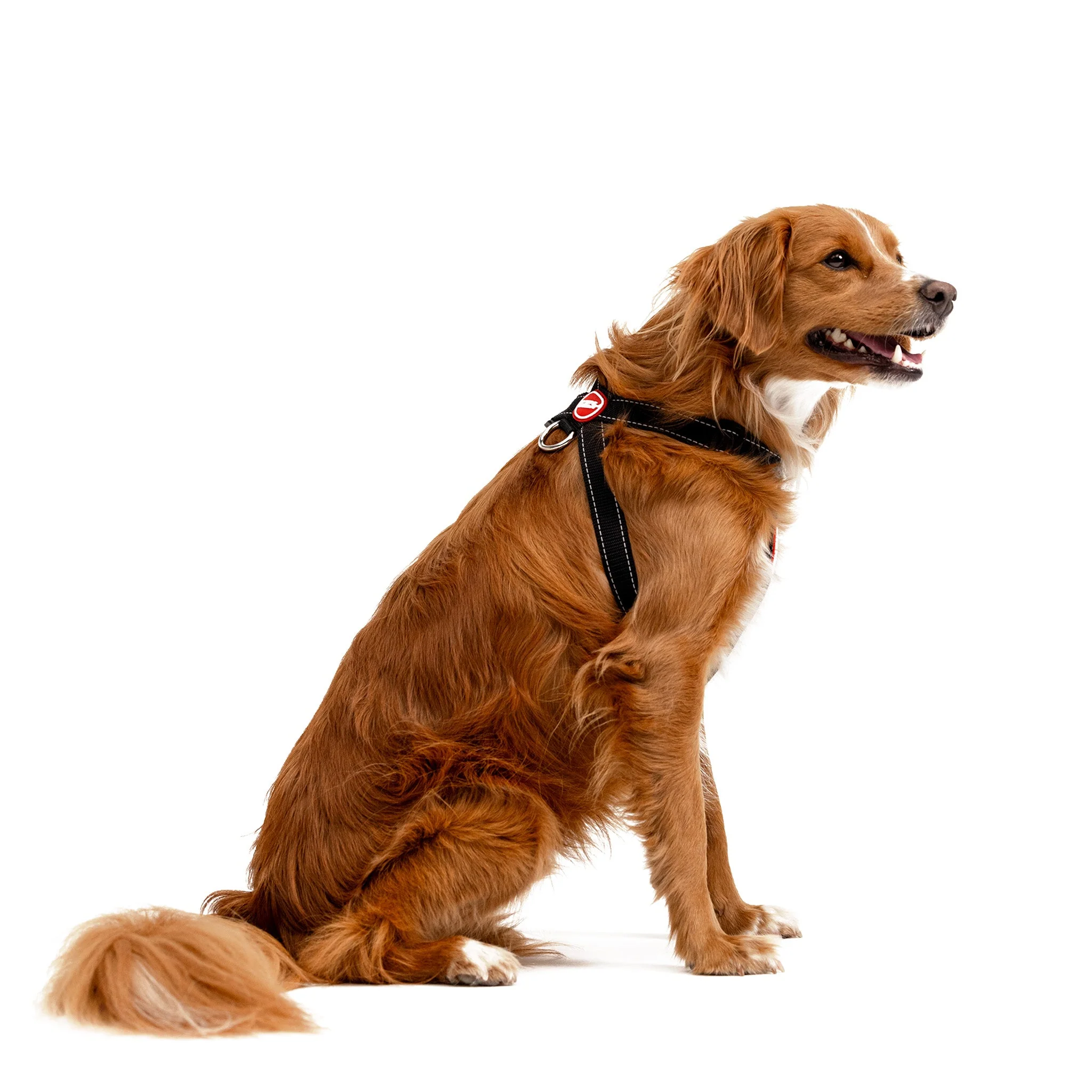 Chest Plate Harness - Image 18