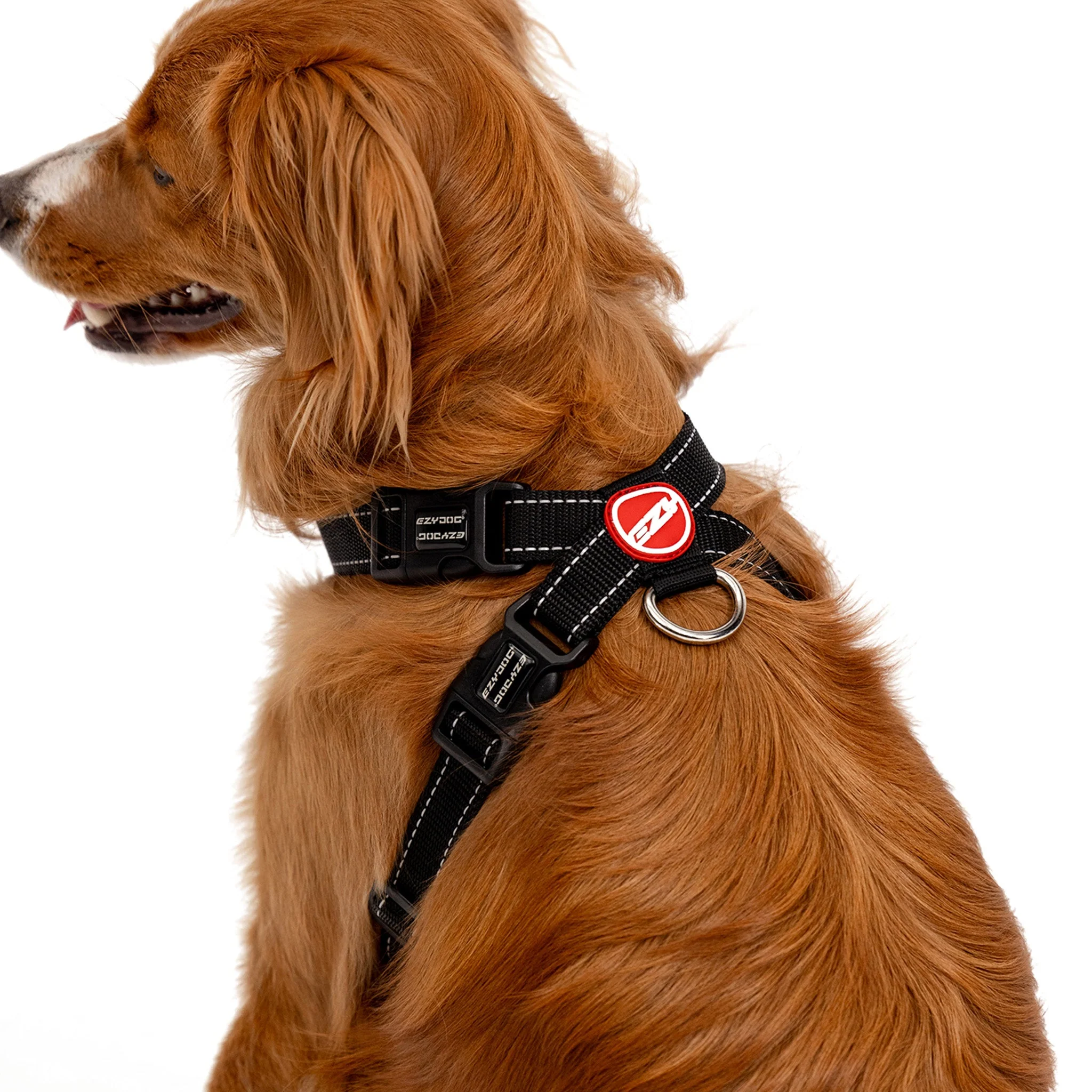 Chest Plate Harness - Image 19