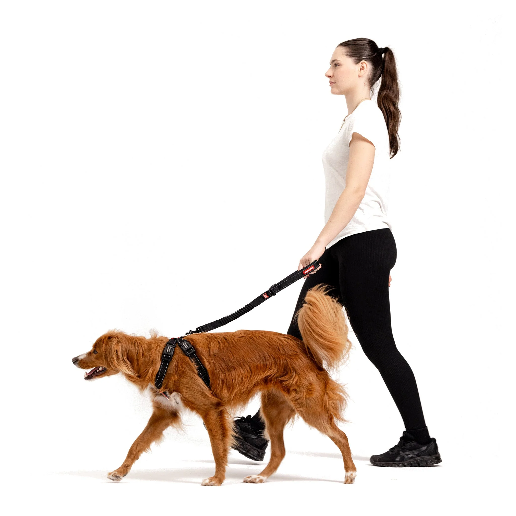 Chest Plate Harness - Image 20