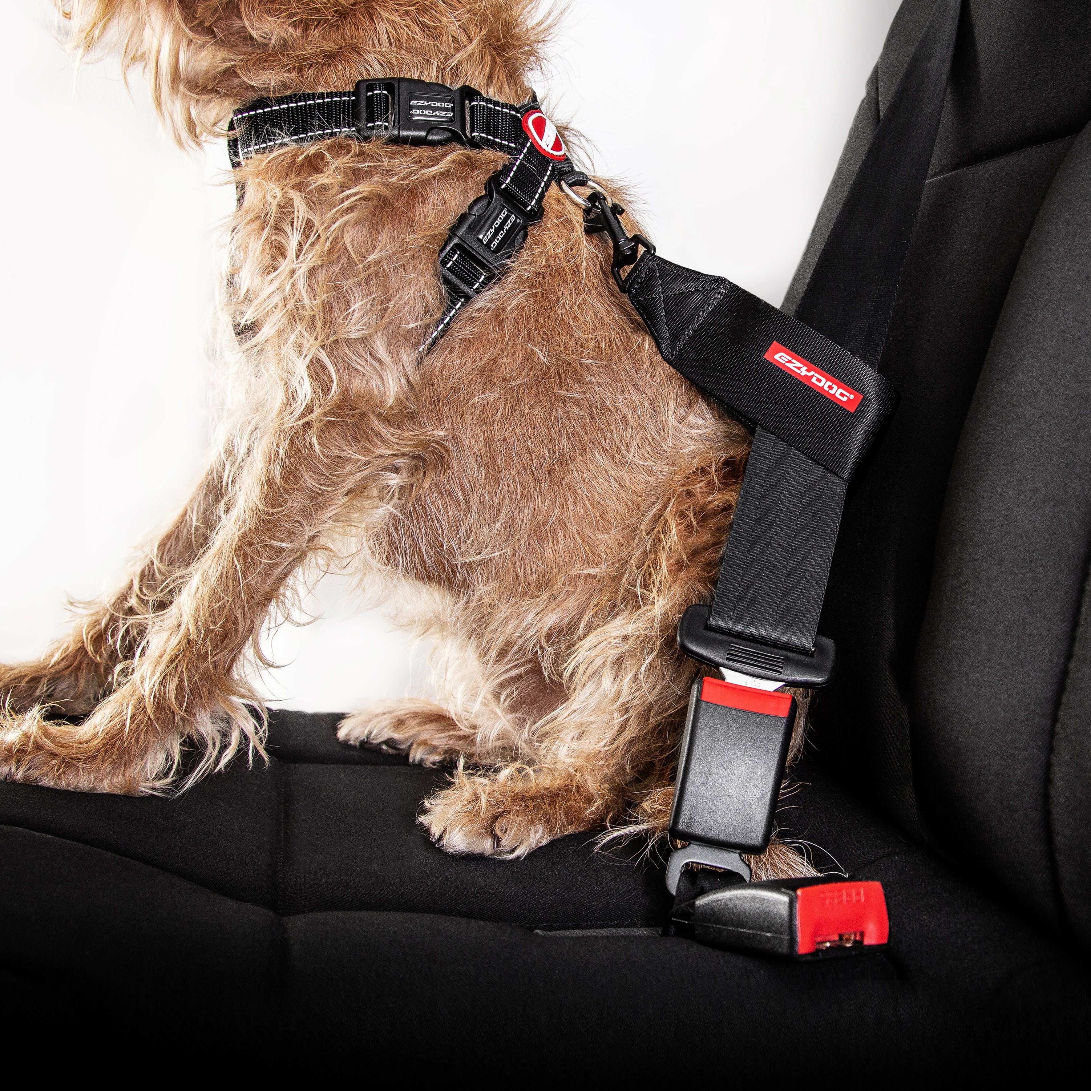 Chest Plate Harness - Image 22