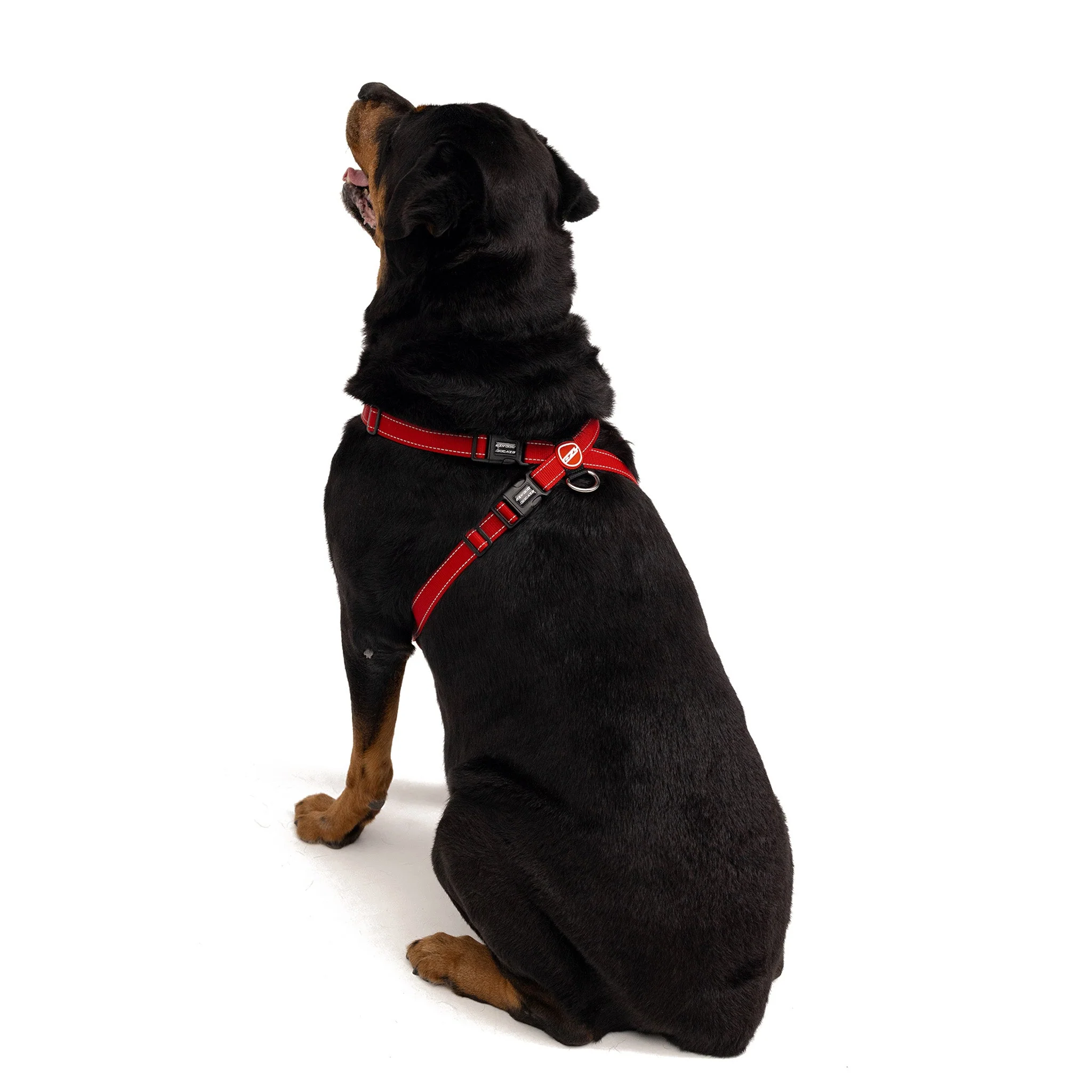 Chest Plate Harness - Camo - Image 7