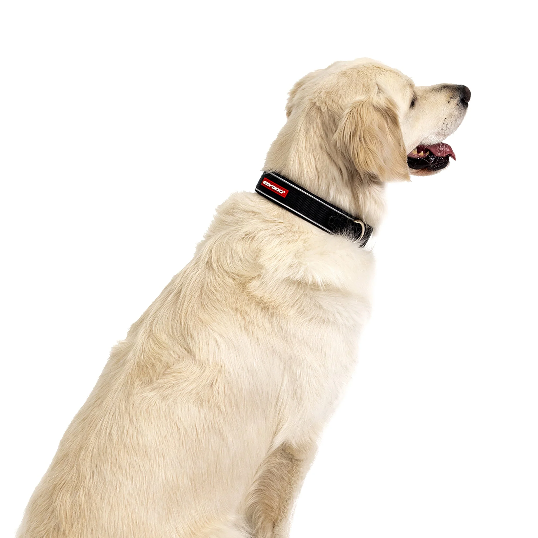 Neo Classic Collar - Camo - Image 7
