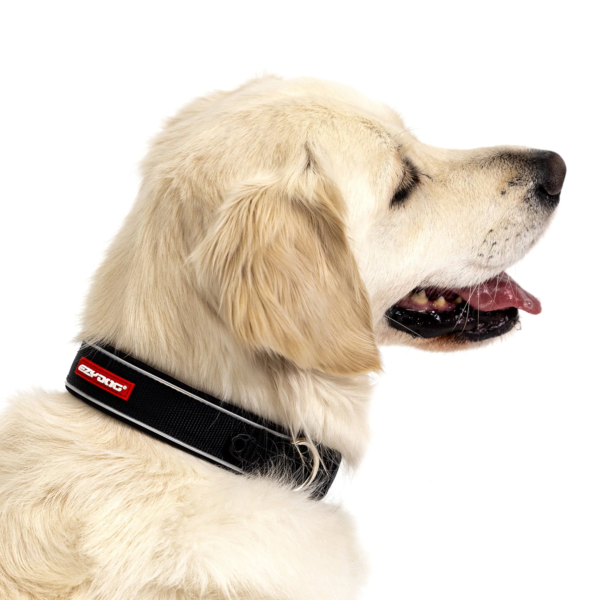 Neo Classic Collar - Camo - Image 8