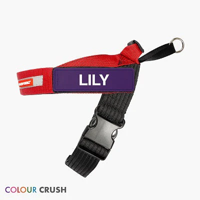 Express Harness - Image 30
