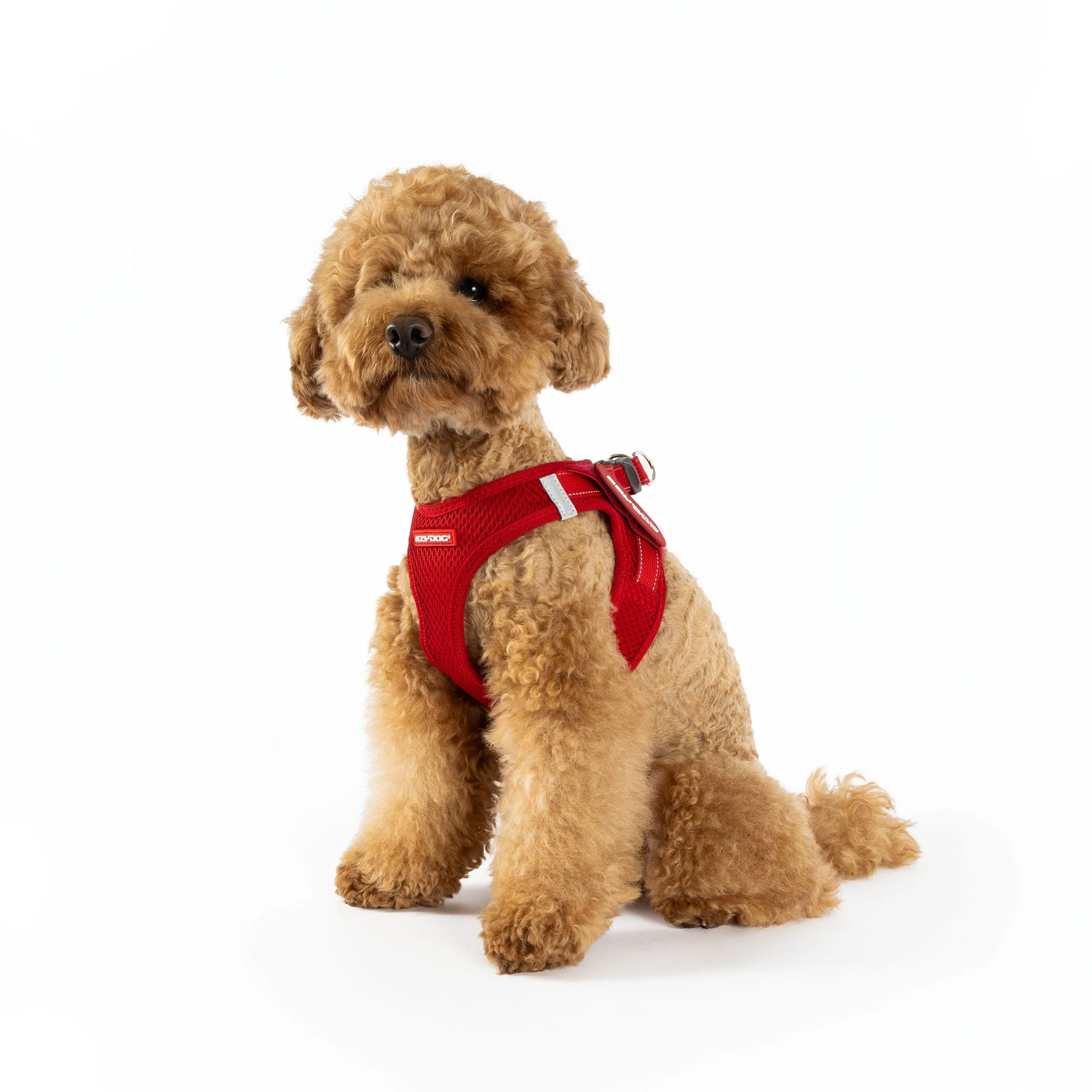 FORMFIT® Mesh Harness - Image 34