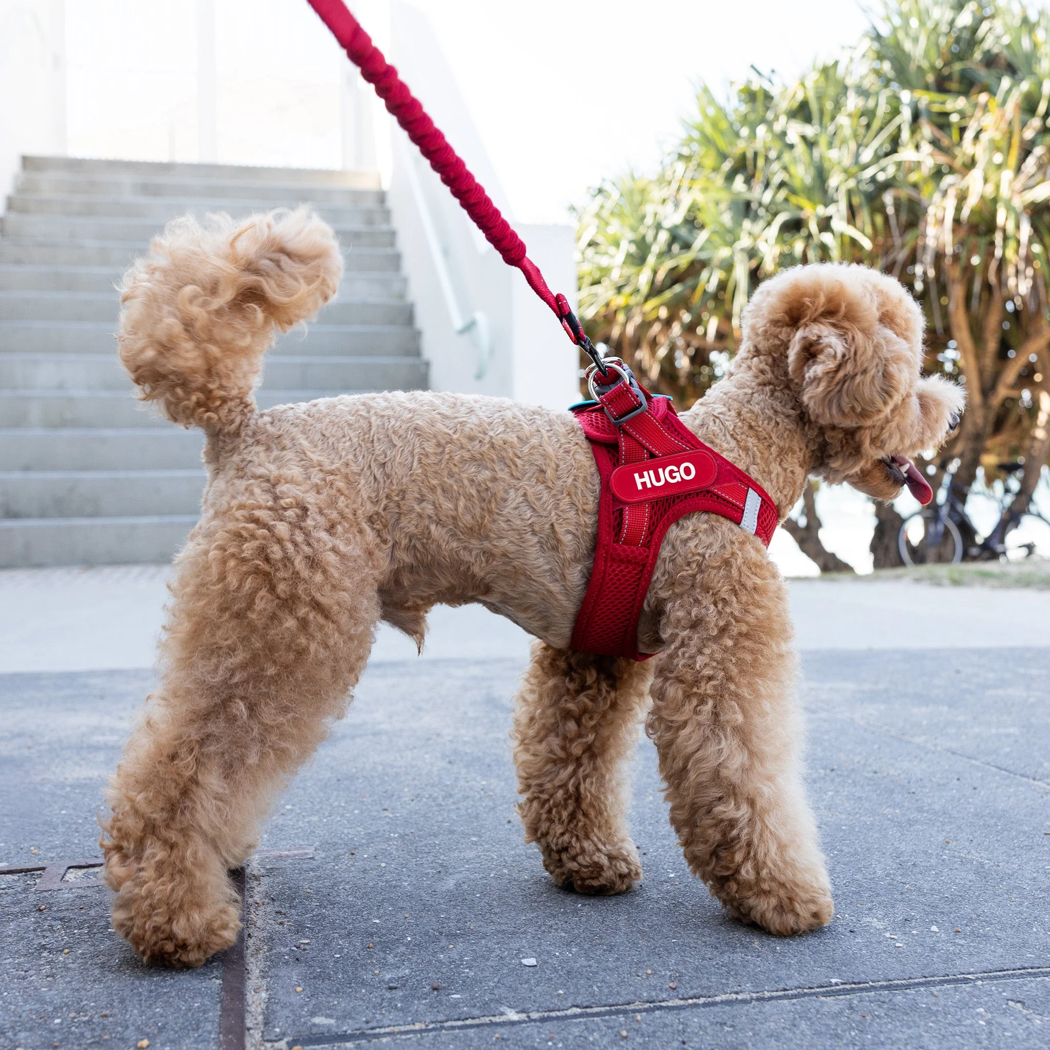 FORMFIT® Mesh Harness - Image 42