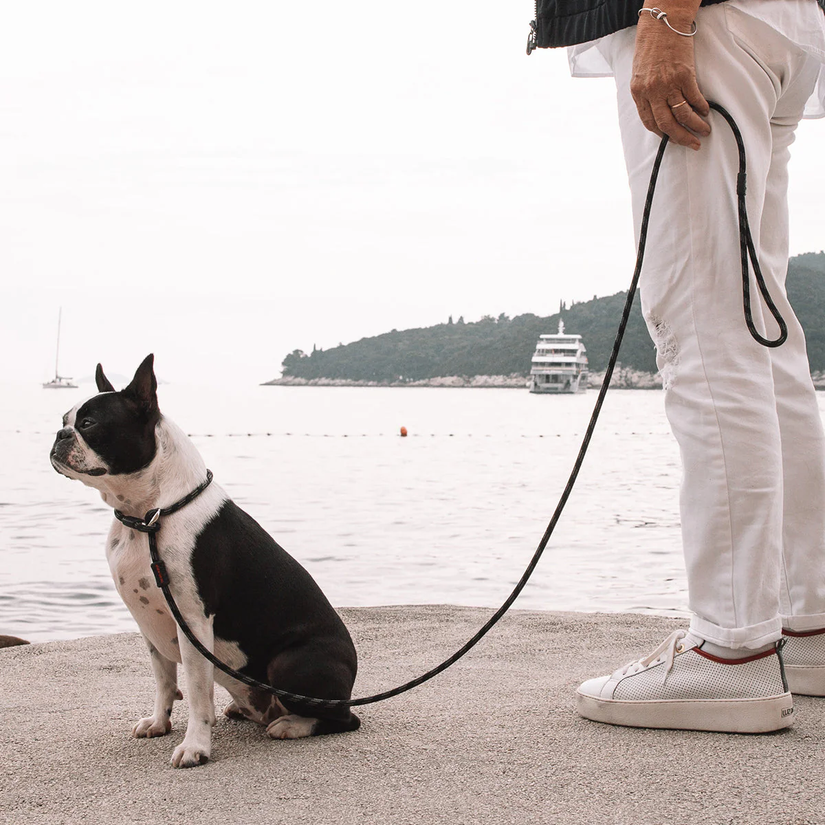 Luca Leash LITE - Image 7
