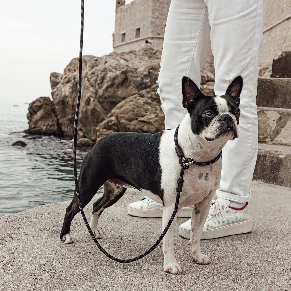 Luca Leash LITE - Image 8
