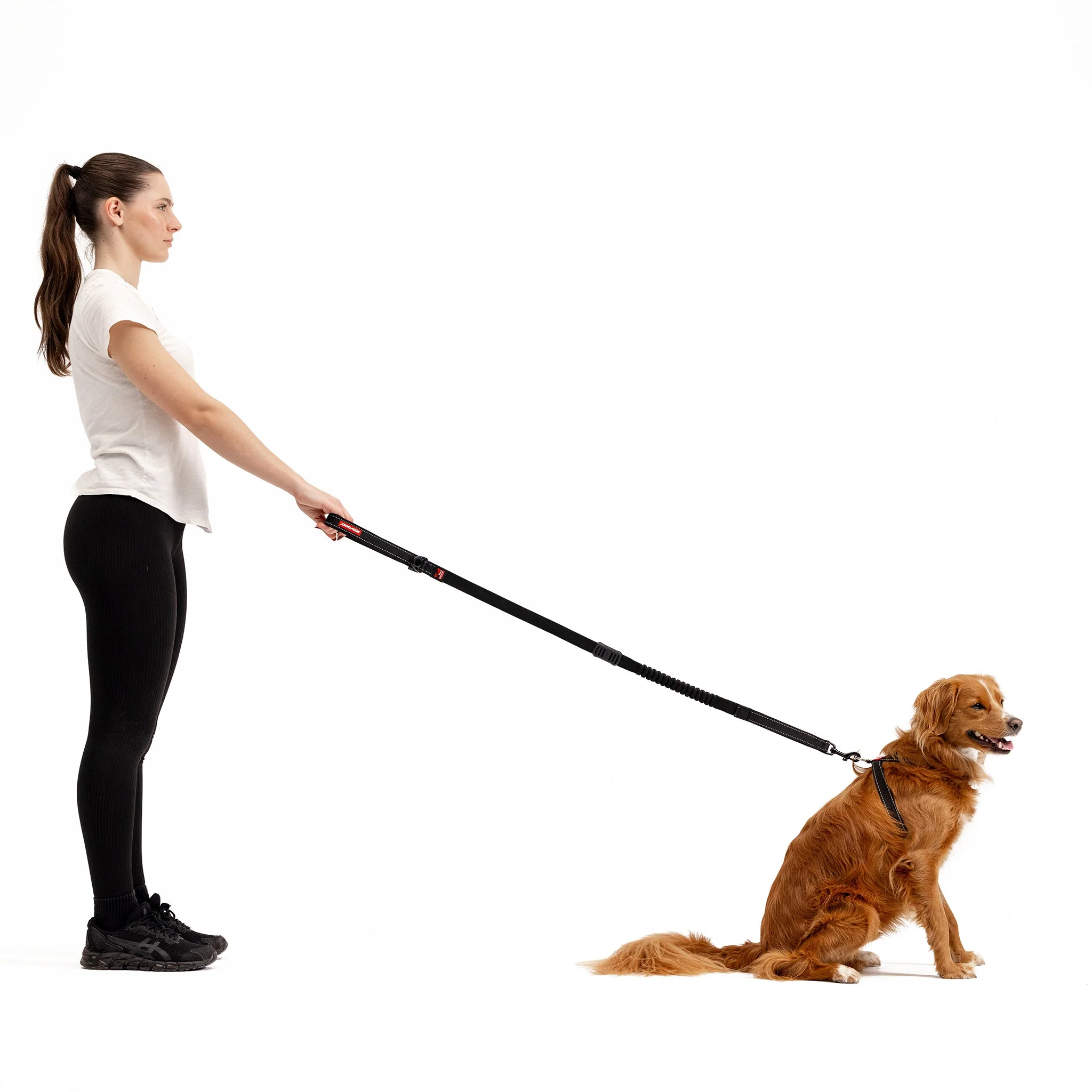 Zero Shock Leash - Image 6